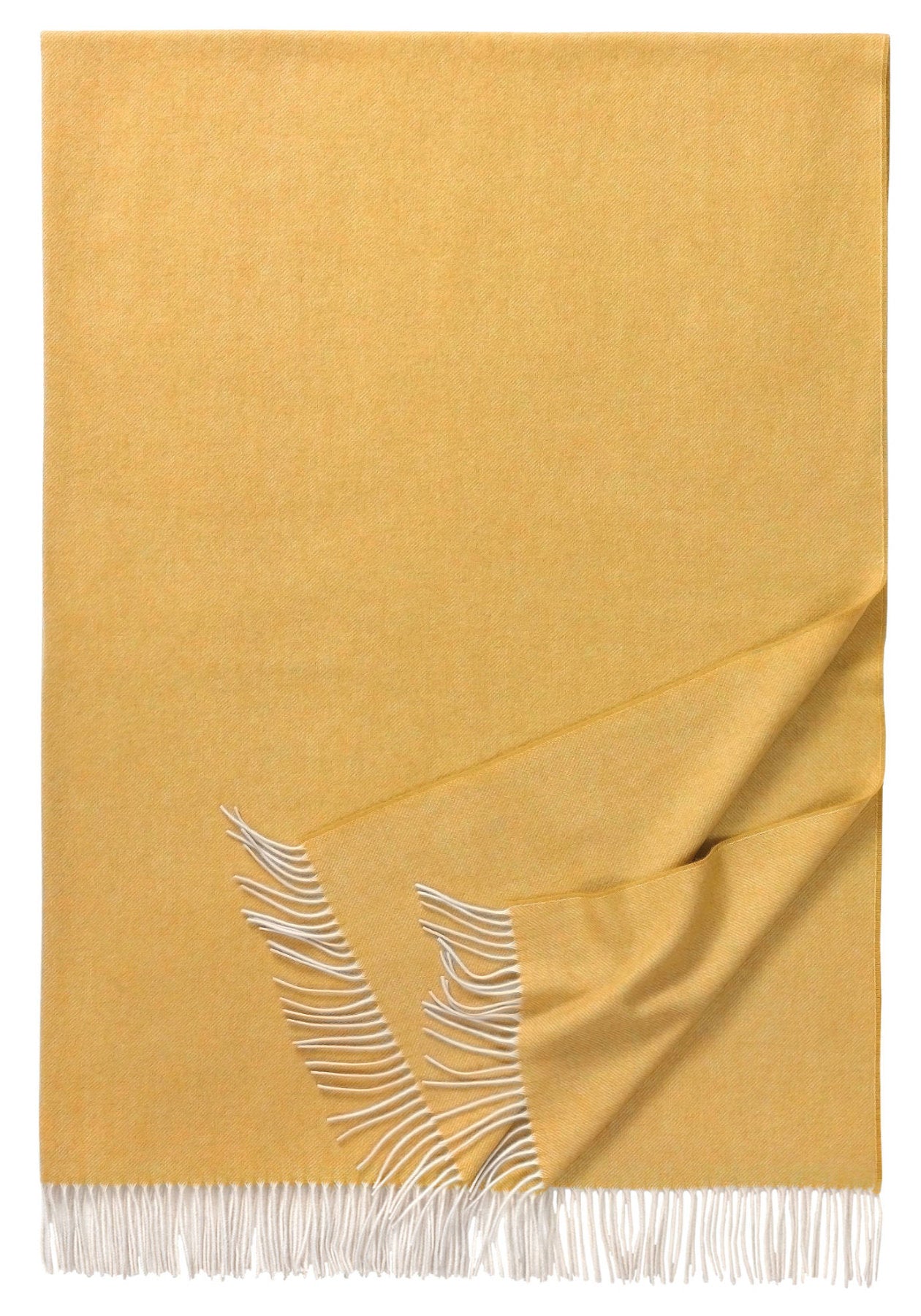 Lammwoll Plaid Boston von Eagle Products in der Farbe Curry