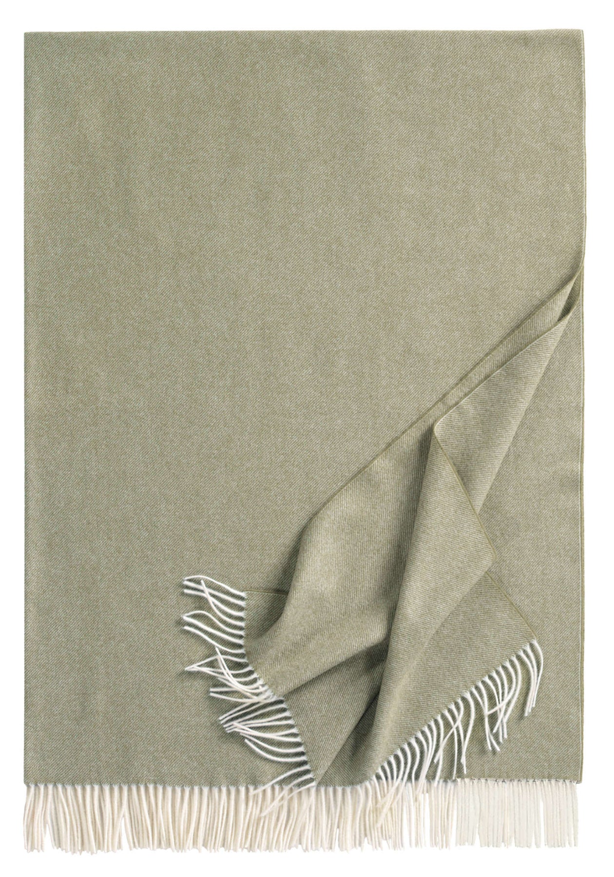 Lammwoll Plaid Boston von Eagle Products in der Farbe Schilf