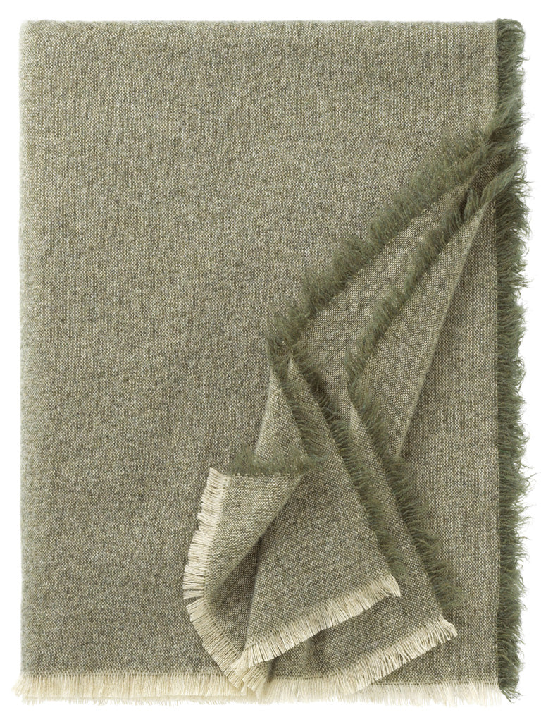 Eagle Plaid Portofino aus Merinowolle und Kaschmir mit Fransen in der Farbe Oliv