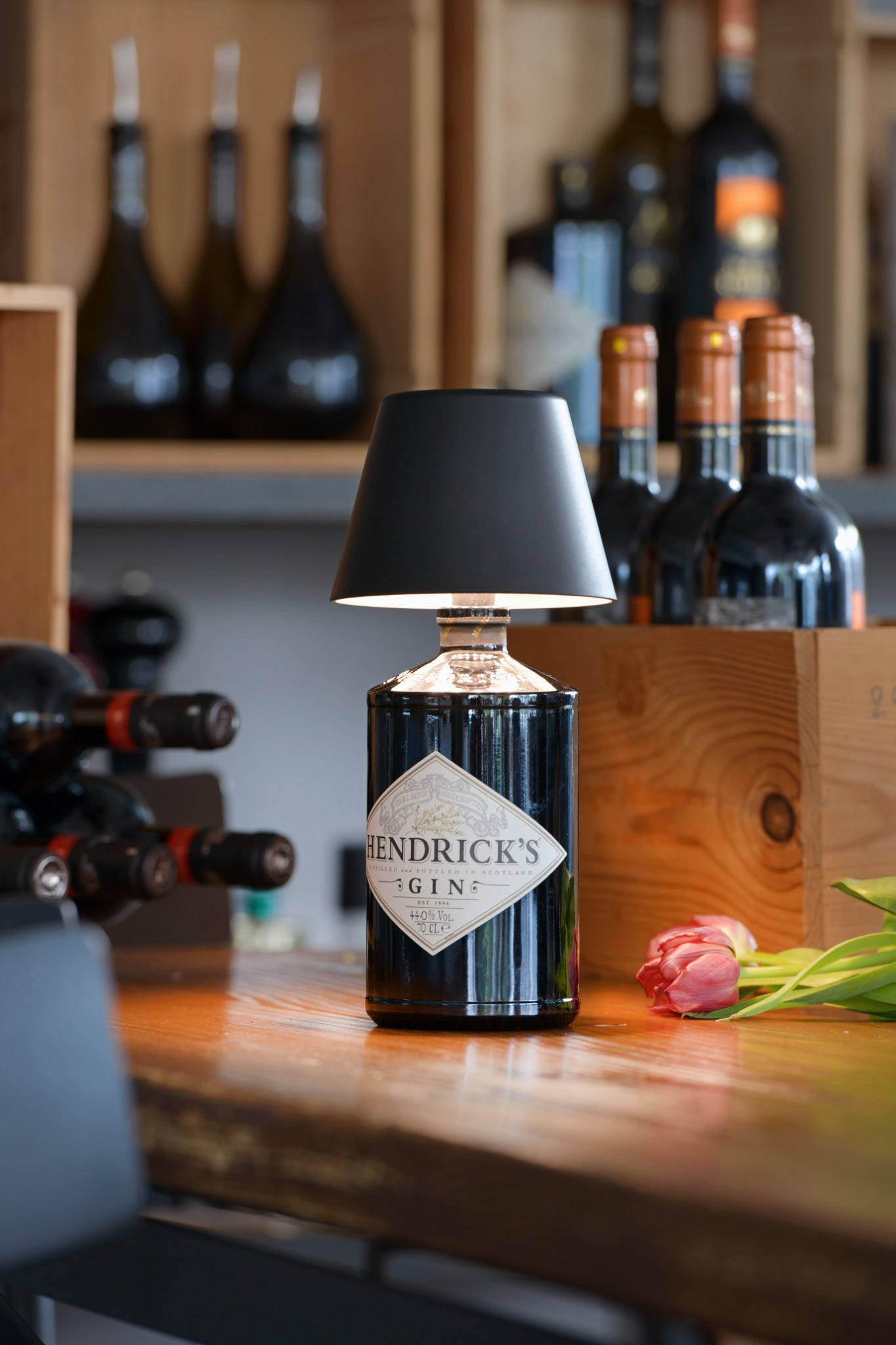 Sompex TOP 2.0 Flaschenleuchten mit Akku für weißes und farbiges Licht  in Anthrazit