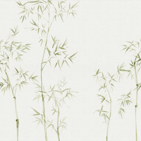 Sandberg Tapete Arashyiama mit Bambuspflanzen
