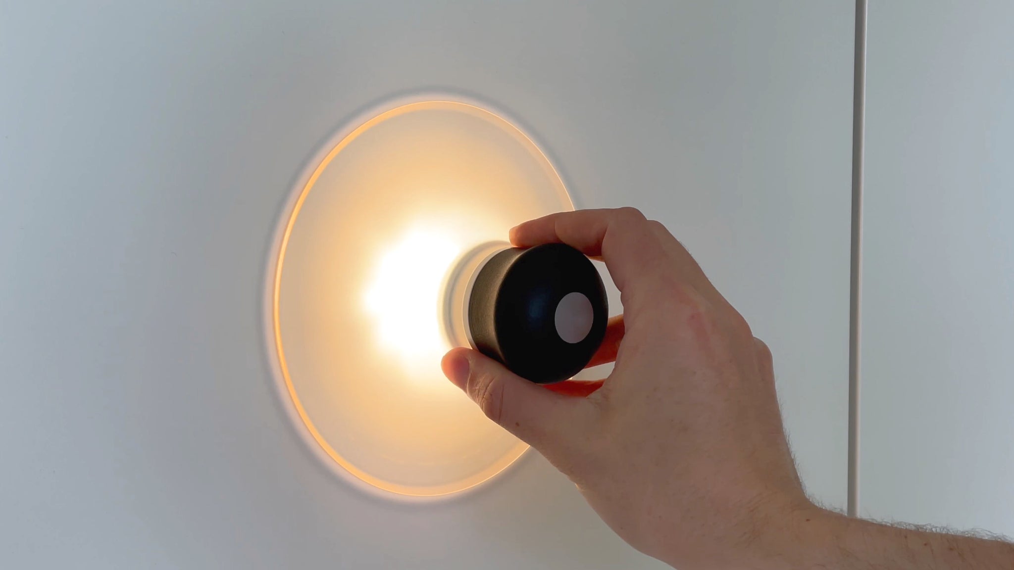 Akkuleuchte Neozoon mit Saugnapf für glatte Oberflächen