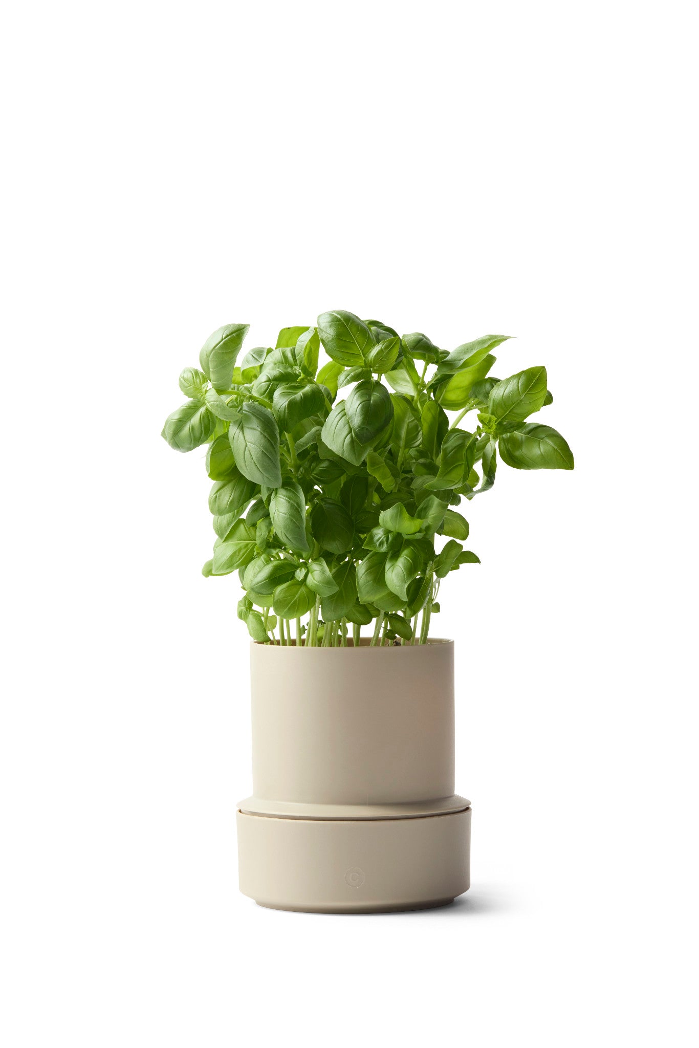 Billund selbstbewässernder Kräutertopf von Crushgrind aus recyceltem Polypropylen in der Farbe Cumin