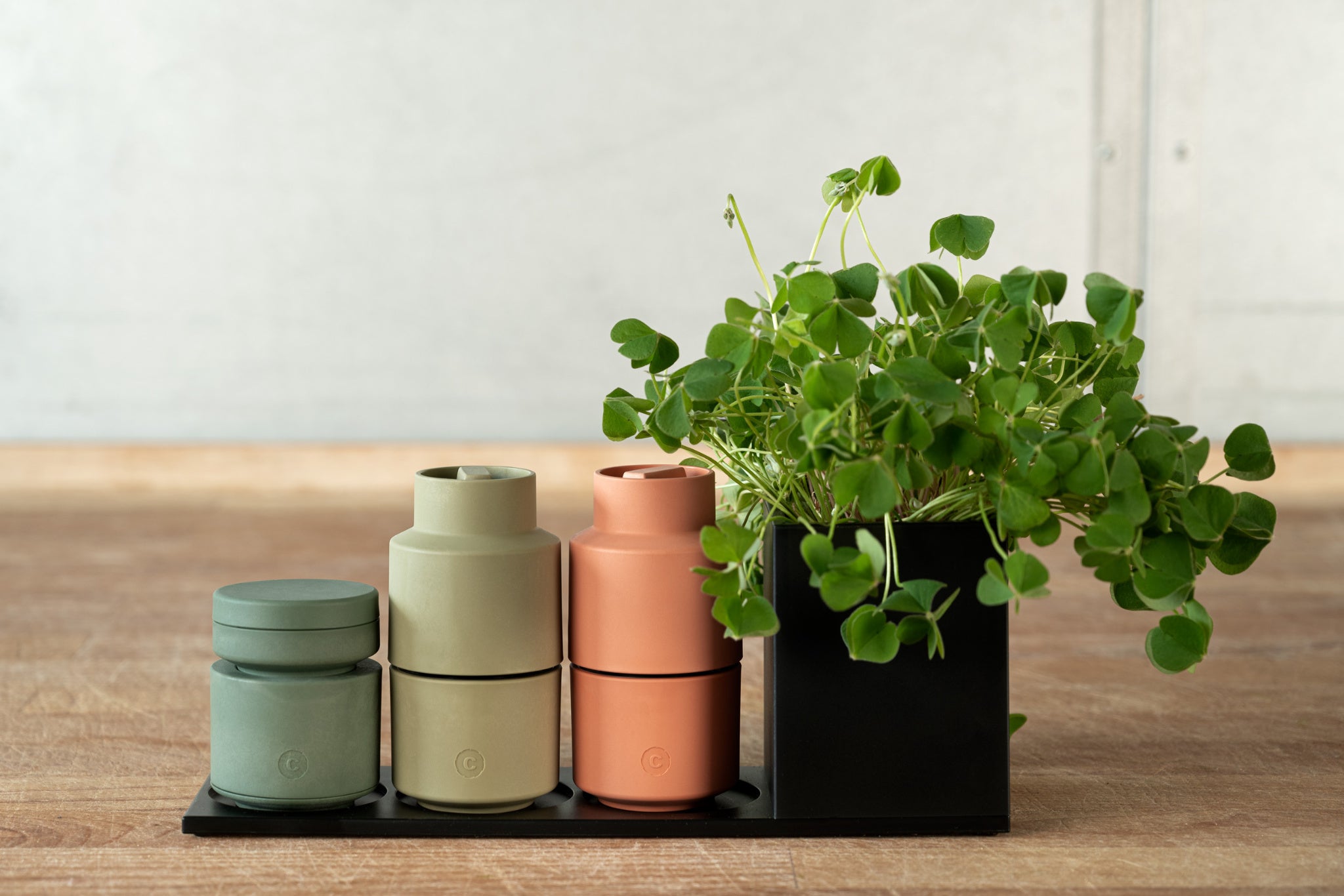 Crushgrind Billund Serie mit Salz-, Peffer- und Muskatmühle aus Biokomposit