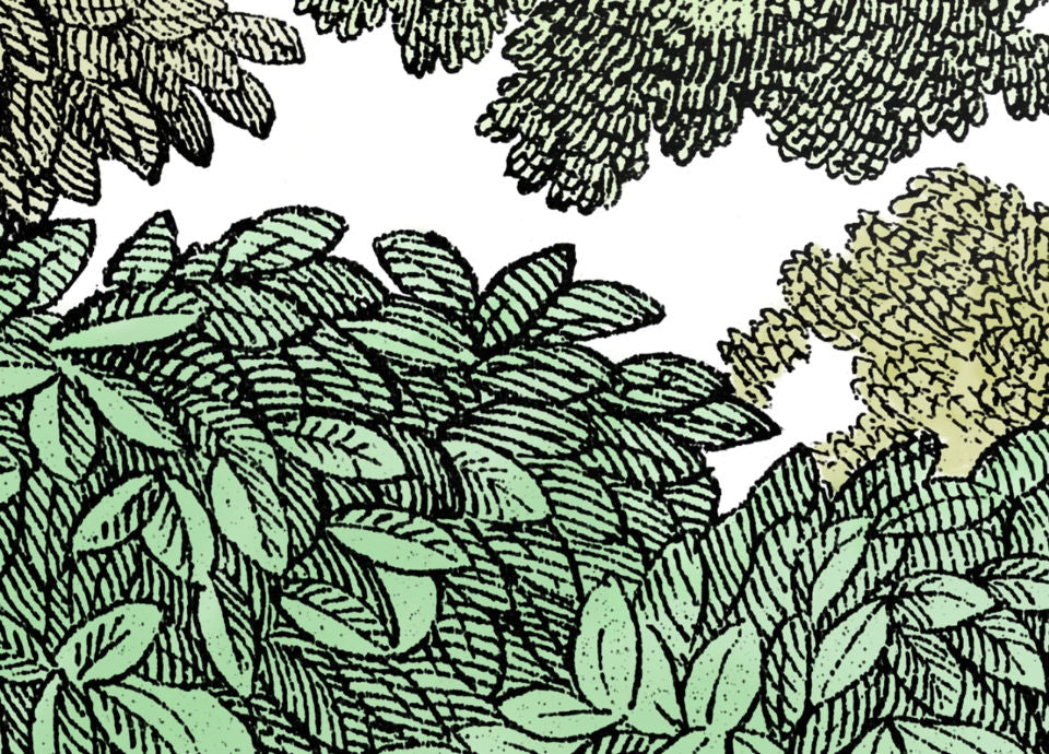 Rebel Walls Tapetenmuster DINA3 Bellewood Green