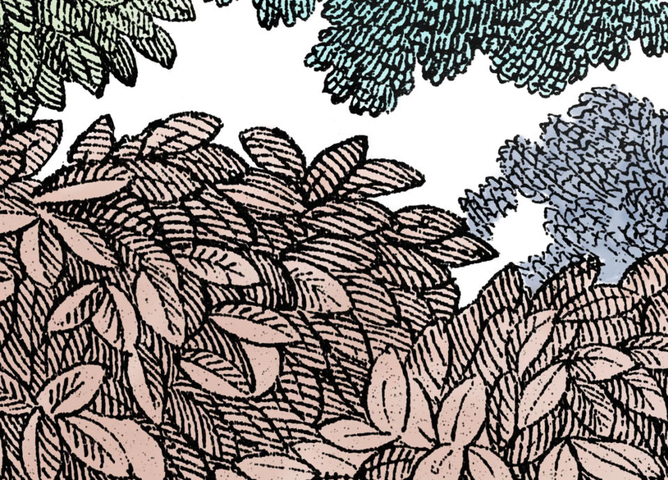 Rebel Walls Tapetenmuster DINA3 Bellewood Rainbow