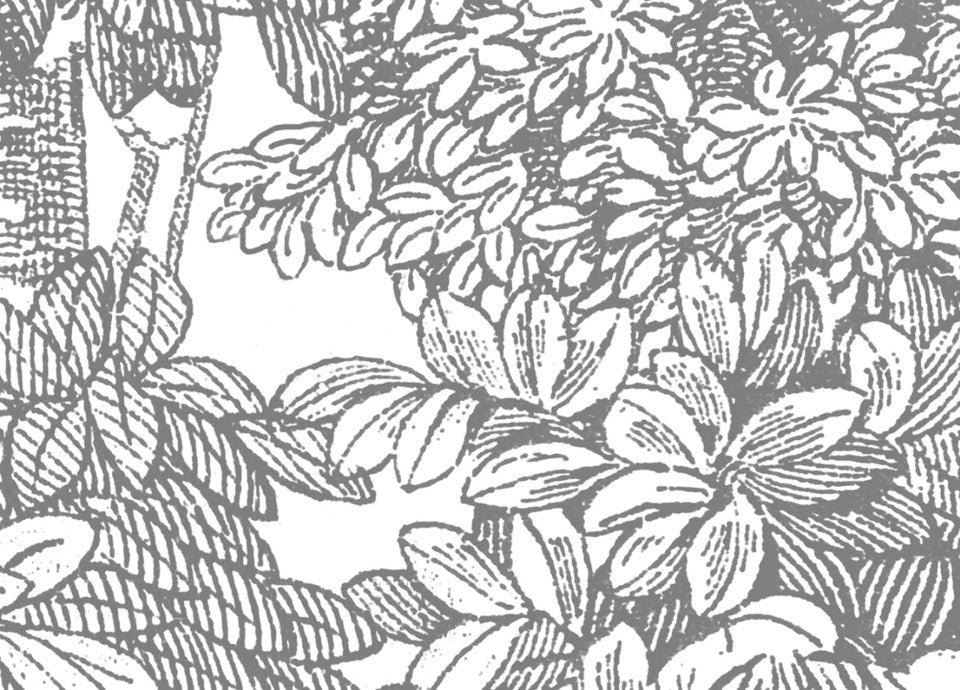 Rebel Walls Tapetenmuster DINA3 Bellewood Grey Toile