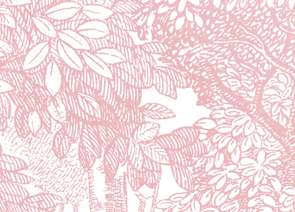 Rebel Walls Tapetenmuster DINA3 Bellewood Pink