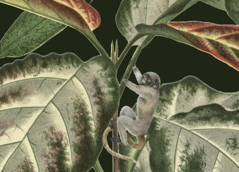 Rebel Walls Tapetenmuster DINA3 Mischievous Monkeys