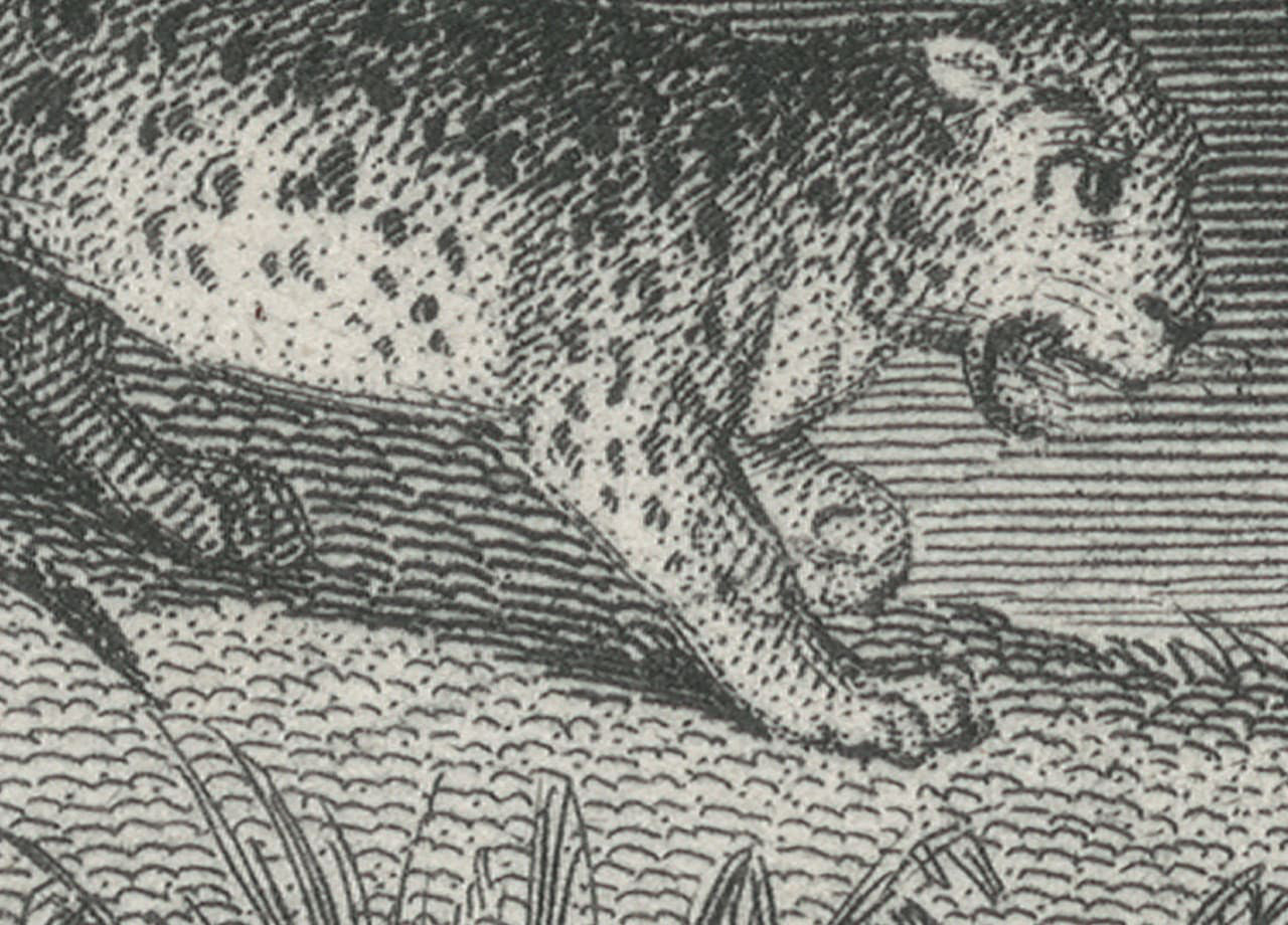 Rebel Walls Tapetenmuster DINA3 Jungle Lande Vintage