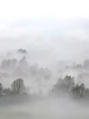 Tapete Morning Fog von Rebel Walls