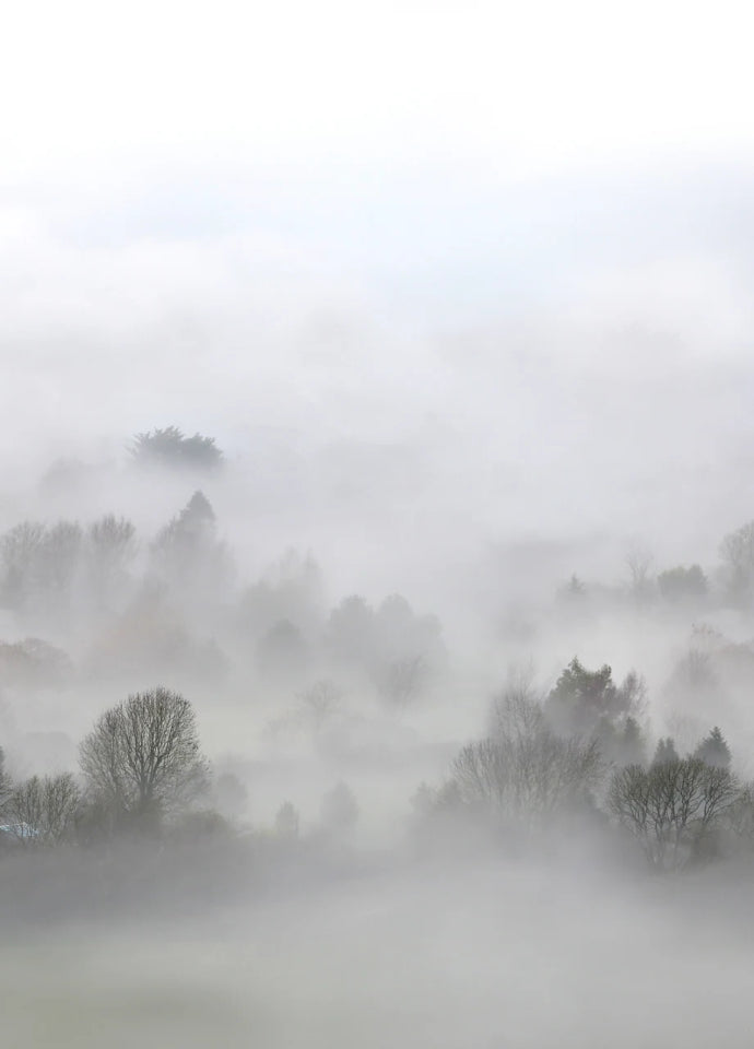 Rebel Walls Tapetenmuster DINA3 Morning Fog