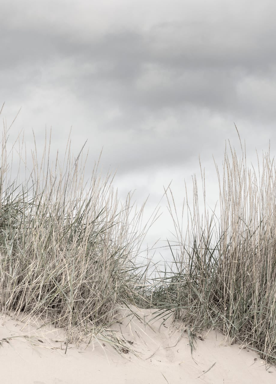 Rebel Walls Tapetenmuster DINA3 Pale Shore