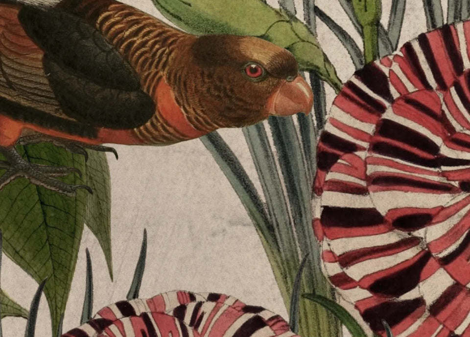 Rebel Walls Tapetenmuster DINA3 Vigor