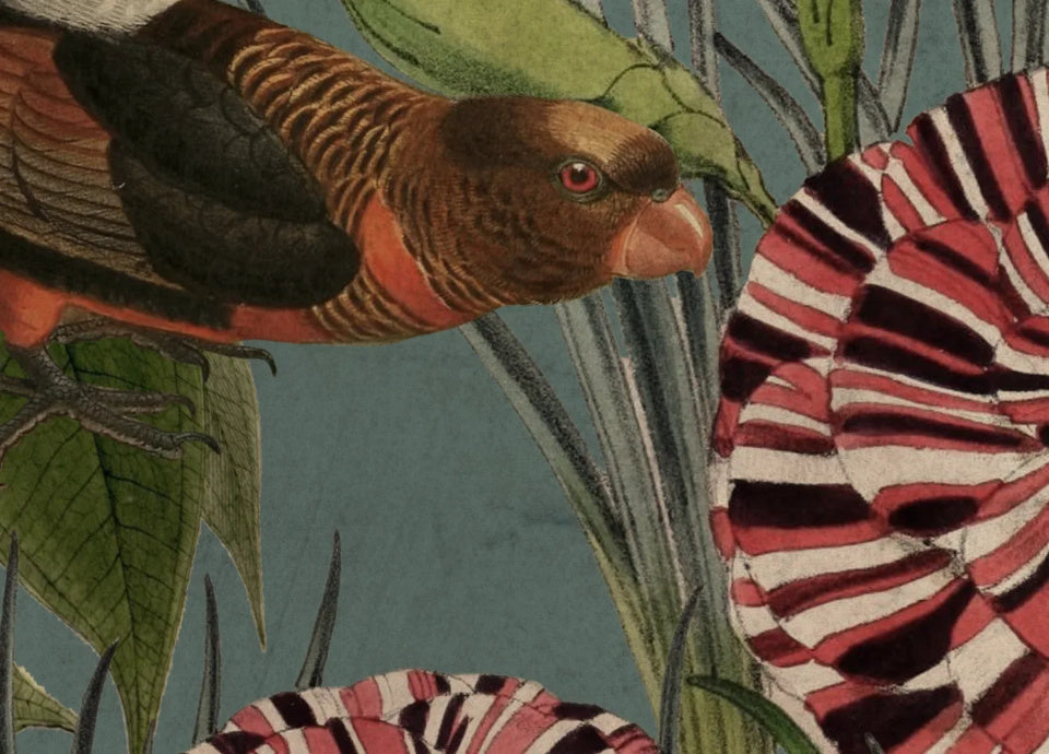 Rebel Walls Tapetenmuster DINA3 Vigor Oxygen