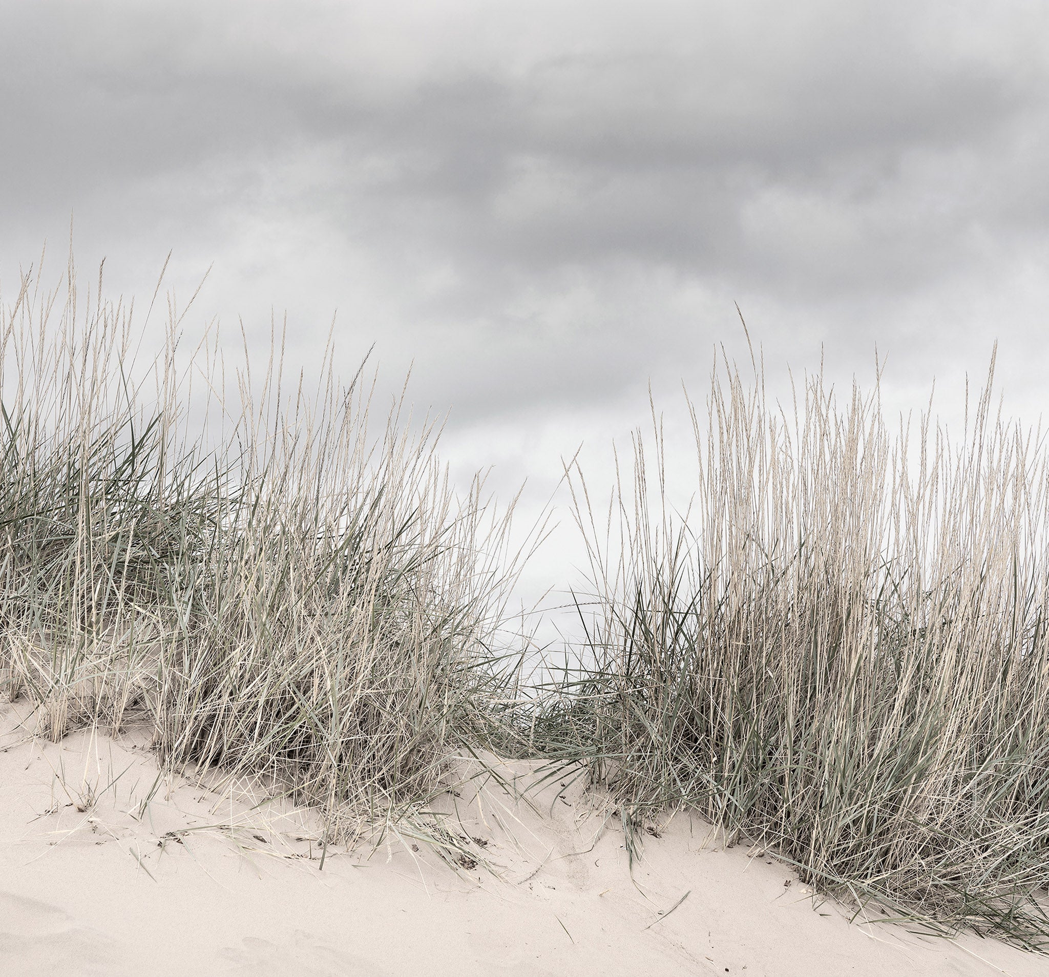 Rebel Walls Tapete Pale Shore mit Stranddünen und grauem Himmel