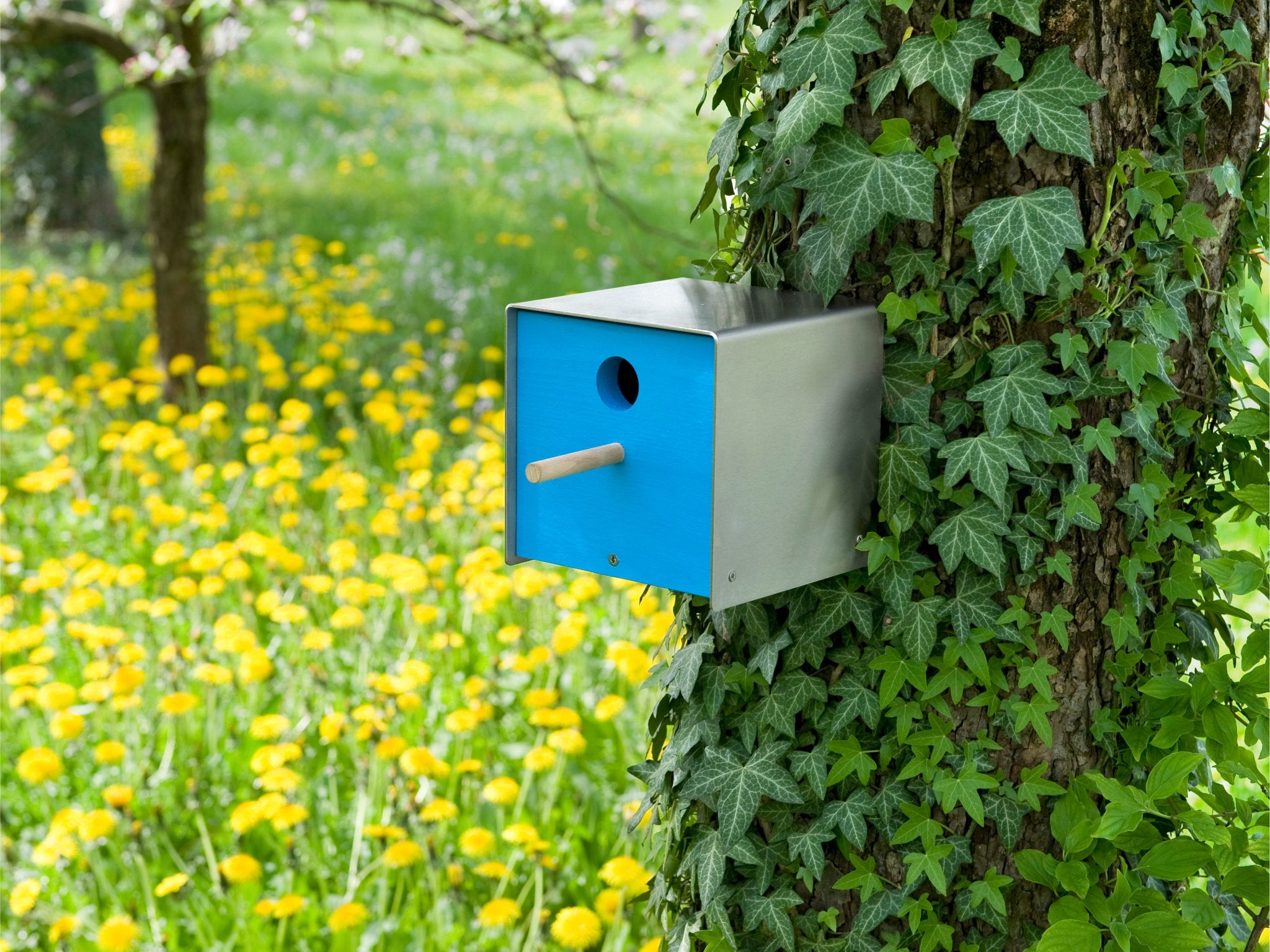 Keilbach Nistkasten Twitter aus Edelstahl mit blauer Holzfront