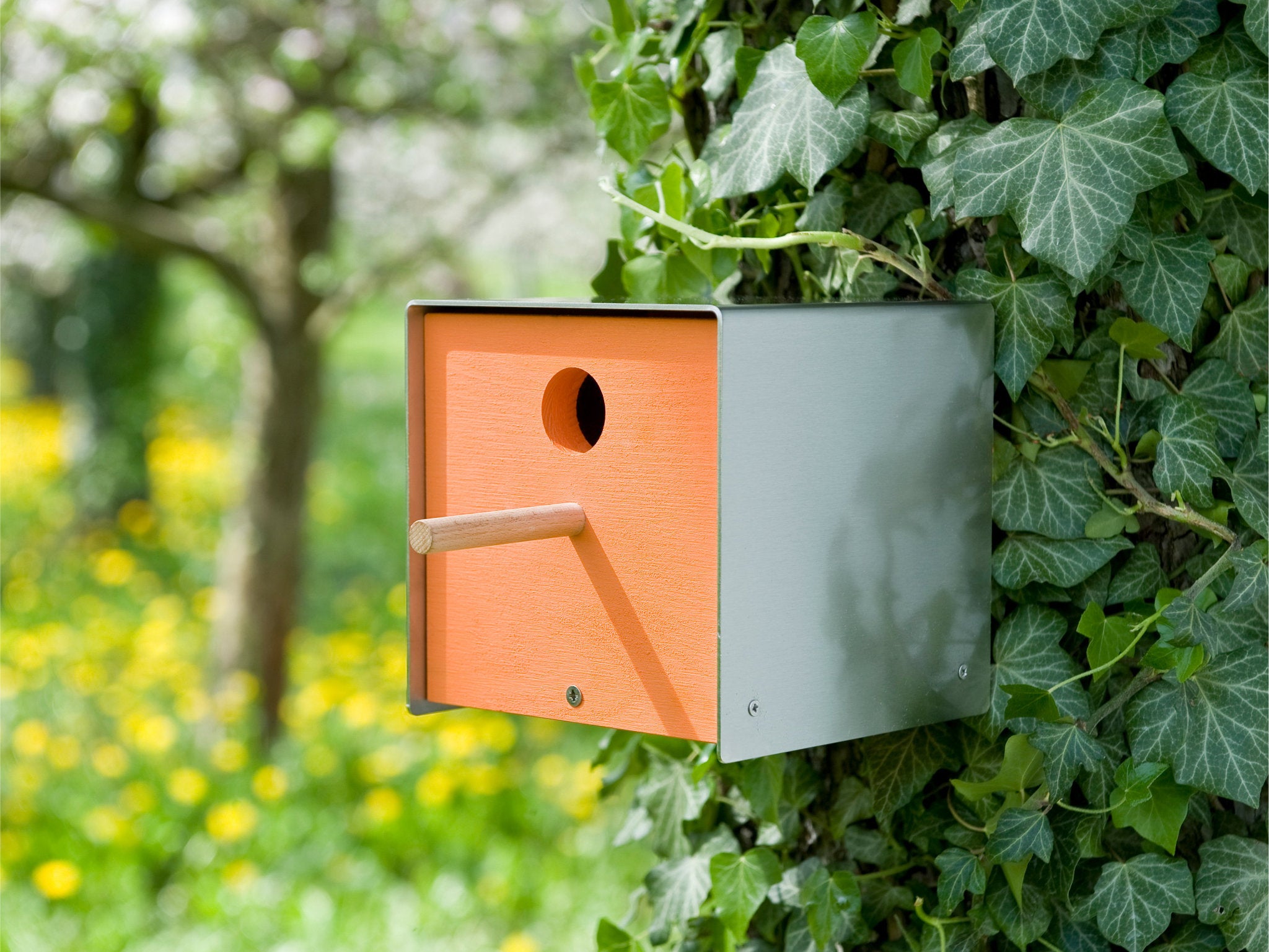Keilbach Nistkasten Twitter aus Edelstahl mit orangefarbener Holzfront