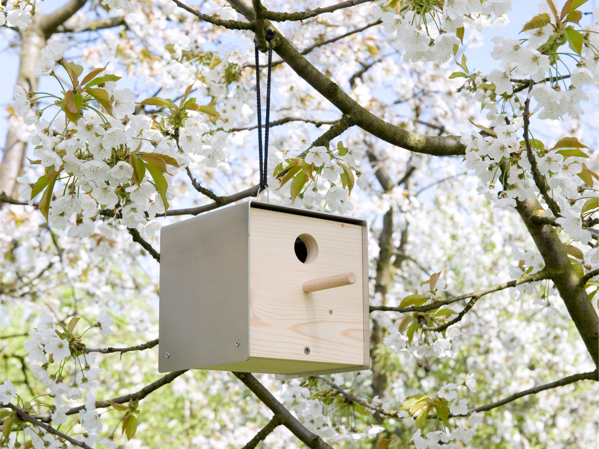 Keilbach Nistkasten Twitter aus Edelstahl mit Front aus Naturholz