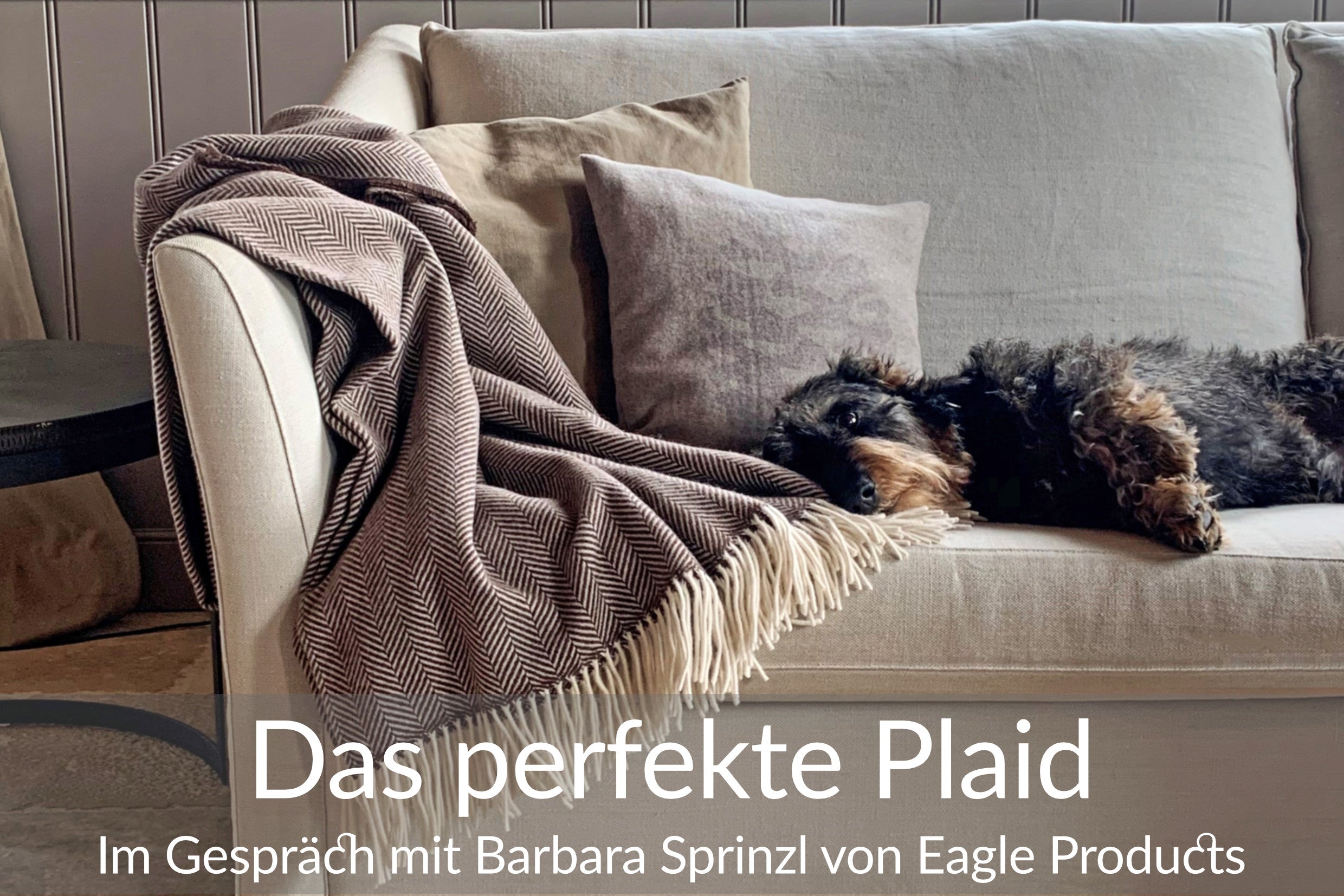 Im Gespräch mit Barbara Sprinzl von Eagle Products über das perfekte Plaid