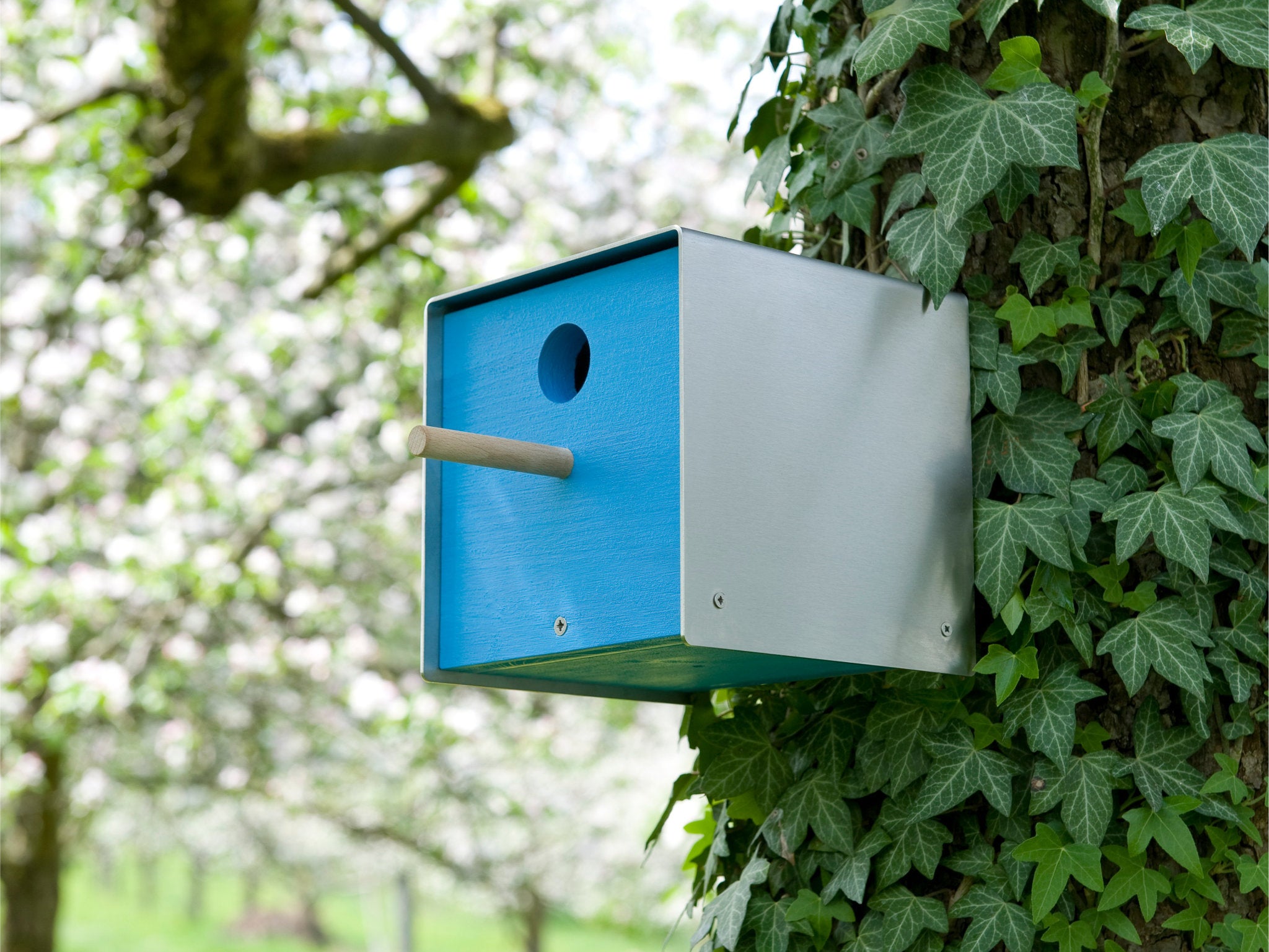 Keilbach Nistkasten Twitter aus Edelstahl mit blauer Holzfront 